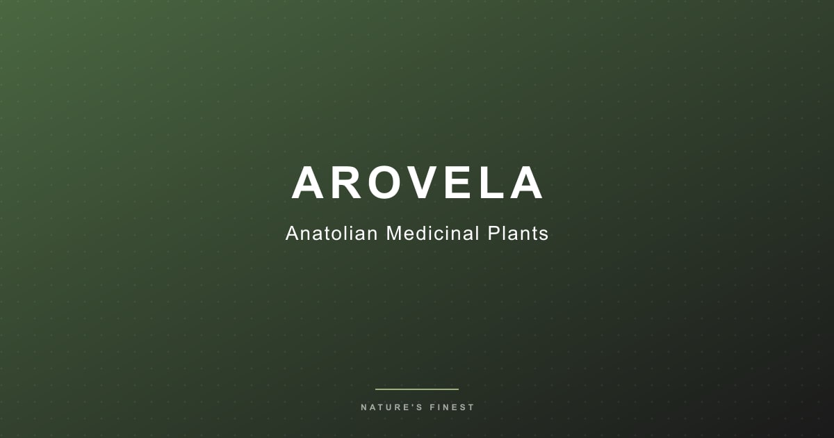 Лекарственные растения Анатолии: 12 000 местных видов для глобального B2B-рынка